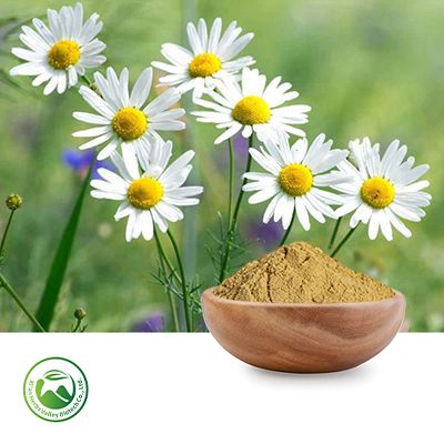 Chamomile Flower Extract 10:1 by Xi'an Herbs Valley