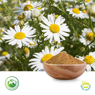 Chamomile Flower Powder by Xi'an Herbs Valley