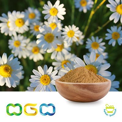 Chamomile Extract Powder 4:1 by Herb Green Health