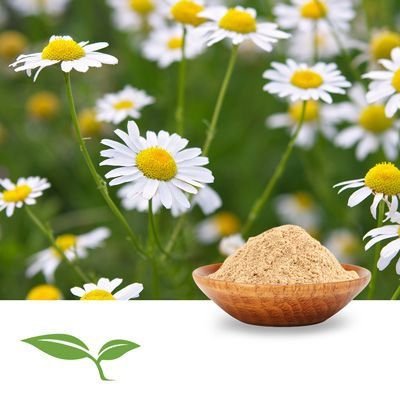 Chamomile Flower Powder by American Botanicals