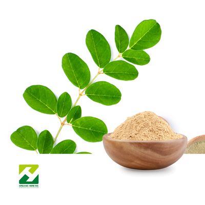Chanca Piedra Extract 10:1 by Organic Herb Inc