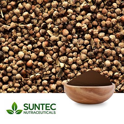 Chasteberry Extract 10:1 by Suntec Nutraceuticals