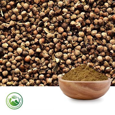 Chasteberry Extract 10:1 by Xi'an Herbs Valley