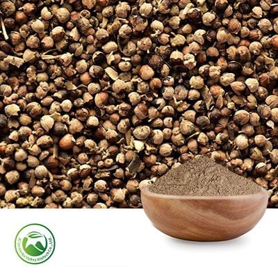 Chasteberry Powder by Xi'an Herbs Valley
