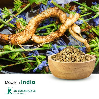 Chicory Root Unroasted by JK Botanicals