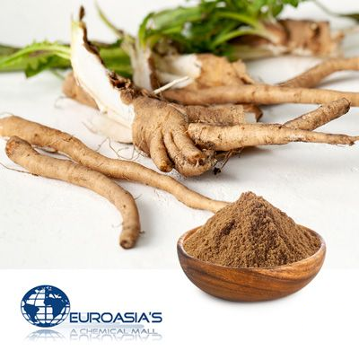 Chicory Root Powder by Euroasias Ingredients
