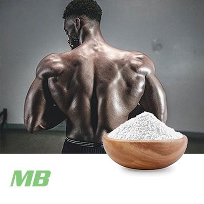 Choline B90 Encapsulated Choline L(+) Bitartrate 90% by MB Supplements