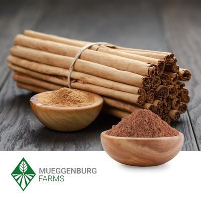 Cinnamon (Ceylon), Powder by Mueggenburg USA