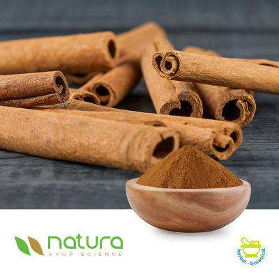 Cinnamon Powder Extract 10% by UV by Natura Ayur Science