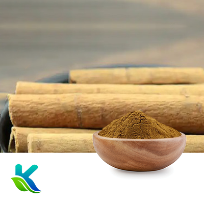 Cinnamon Extract 10:1 by Hunan Naturext