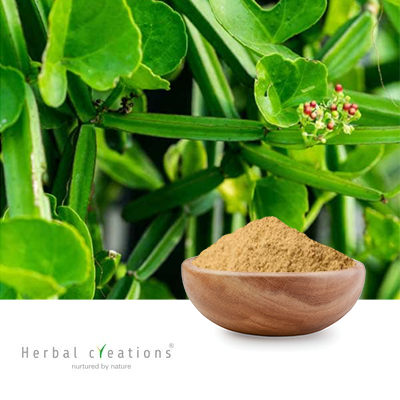 Cissus Quadrangularis Extract 10% 3-Ketosterones By Gravimetry by Herbal Creations