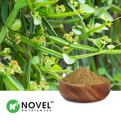 Cissus Quadrangularis Extract 10% Total Ketosterones by Gravimetry by Novel Nutrientss