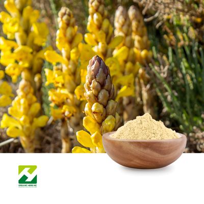 Cistanche Tubulosa Extract 10:1 by Organic Herb Inc