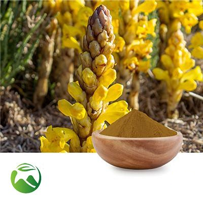 Cistanche Tubulosa Extract 10:1 by Xi'an Herbs Valley