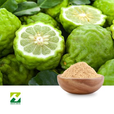 Citrus Bergamot Extract 5% Naringin by Organic Herb Inc