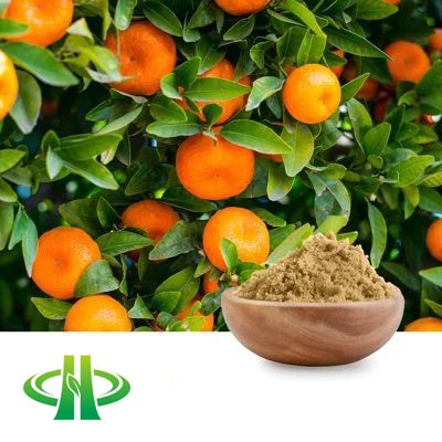 Citrus Extract 50% Hesperidin HPLC by Shandong Zhongmin