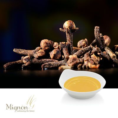 Clove Leaf Oil Rectified by MIGNON