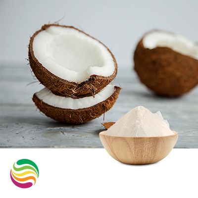 N&A Coconut Flavor Powder by Custom Flavors