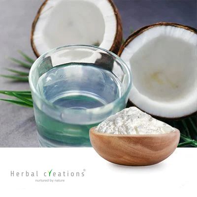 COCONUT WATER POWDER by Herbal Creations