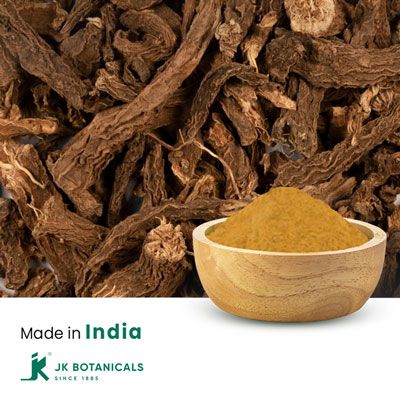Coleus Forskohlii Powder Steam Treated by JK Botanicals
