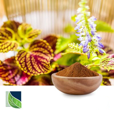 Coleus Forskohlii Extract 10% Forskolin by Botanic Healthcare