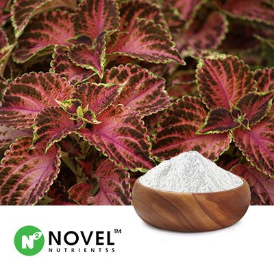 Coleus Forskohlii Extract 95% Forskolin by HPLC by Novel Nutrientss