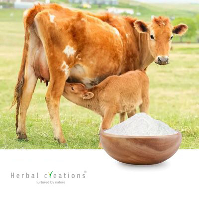 Colostrum Powder 40% IgG by Herbal Creations
