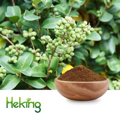 Commiphora Extract 10:1 by Heking