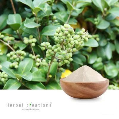 Commiphora Mukul(Guggul) Extract 2.5% Guggulsterones E and Z By HPLC by Herbal Creations