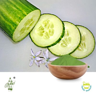 Conventional Cucumber Powder by Qimei