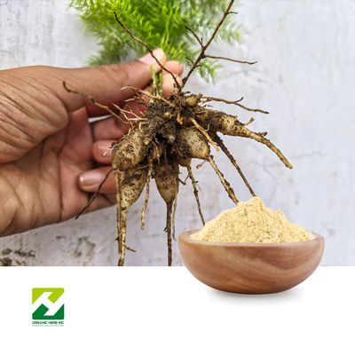 Coptis Root Extract 10:1 by Organic Herb Inc