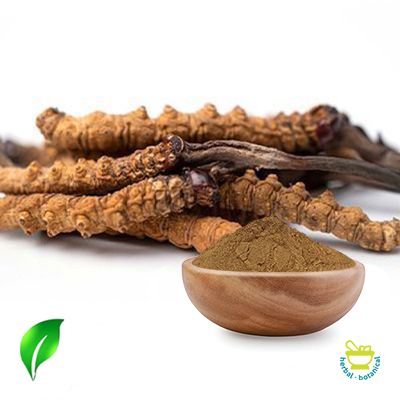 Cordyceps Mushroom Extract 50% Polysaccharides by Changsha Sunnycare