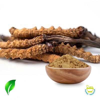 Cordyceps Mushroom Powder by Changsha Sunnycare