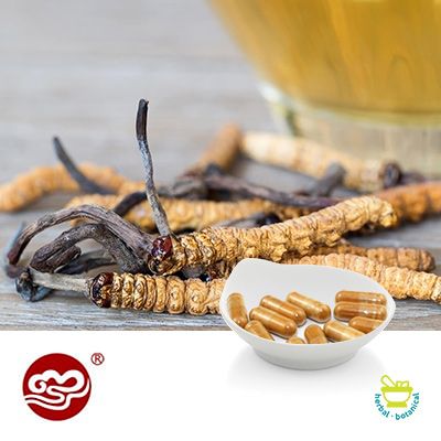 Cordyceps CS-4 Capsule by Fujian Xianzhilou (GanoHerb)