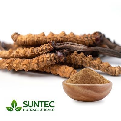 Cordyceps Sinensis Powder by Suntec Nutraceuticals