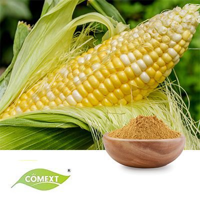 Corn Silk Extract 10:1 by Comext