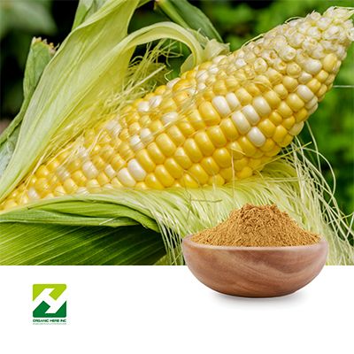 Cornsilk Extract 4:1 by Organic Herb Inc