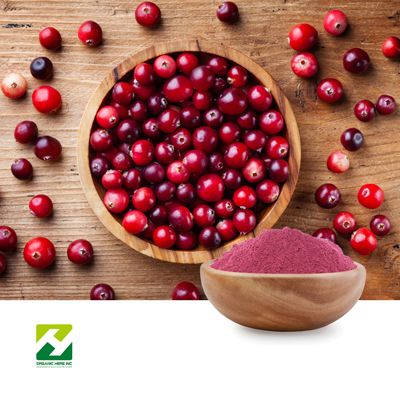 Cranberry Extract 5% Proanthocyanidins UV by Organic Herb Inc