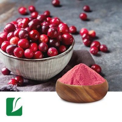 Cranberry Fruit Extract 5% Proanthocyanidins by Longze Biotechnology