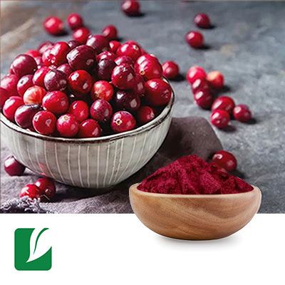Cranberry Fruit Extract 10:1 by Xi'an Longze