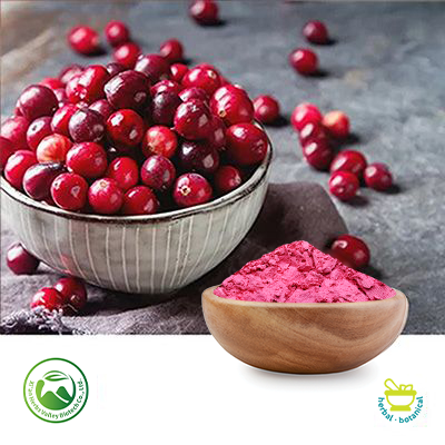 Cranberry Fruit Powder by Xi'an Herbs Valley