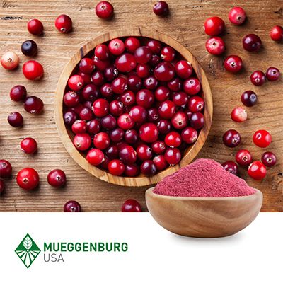 Cranberry, Powder (Organic) by Mueggenburg USA