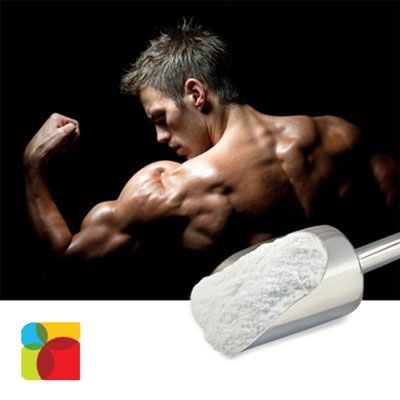 Creatine Mono 200 Mesh by Salvi Chemical Industries