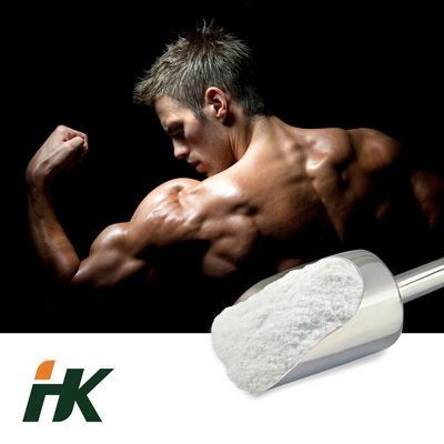 Creatine Mono 80 mesh by HK Pharmaceutical Technology