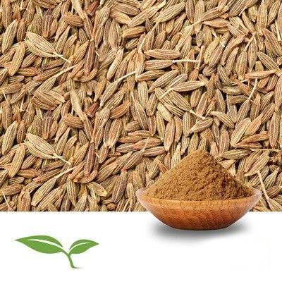 Cumin Seed (Ground, Organic) by American Botanicals