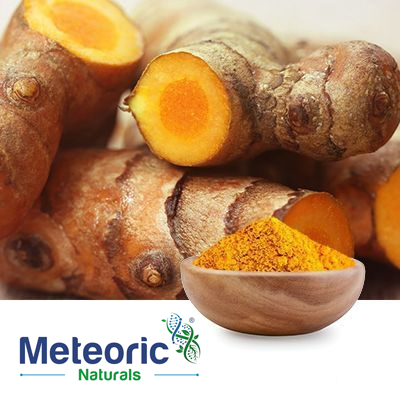 Curcuma Longa Extract 95% Curcuminoids by Meteoric Naturals