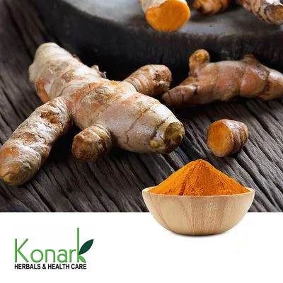 Curcumin Extract 95% Granular by Konark Herbals & Health Care
