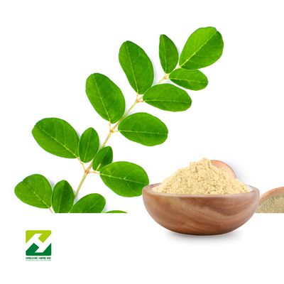 Curry Leaf Extract 10:1 by Organic Herb Inc