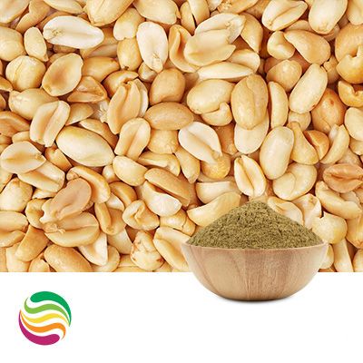 N&A Peanut Flavor Powder by Custom Flavors
