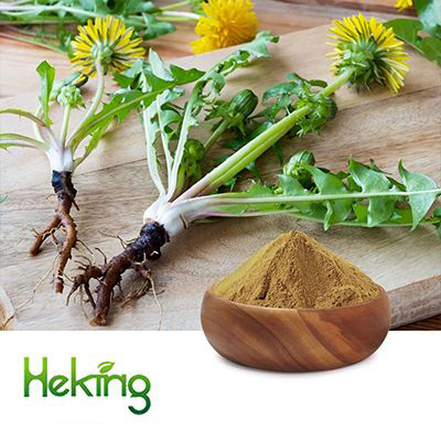 Dandelion Extract 10:1 by Heking